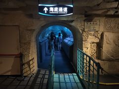 -大连圣亚海洋世界