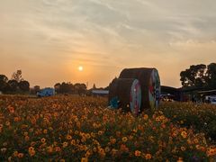 -嘉北郊野公园