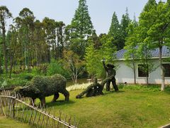 -上海长兴岛郊野公园