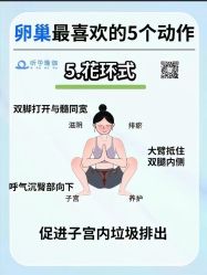 -昕孕瑜伽·孕妇瑜伽·产后修复
