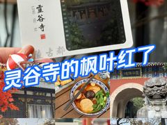 -灵谷景区