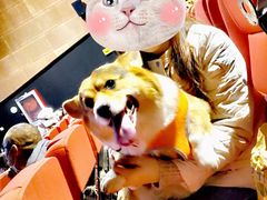 -天津美亚HeyLED影城(天津水游城店)