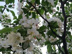 -金石唐风国际温泉会馆