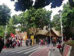 -仙岳公园