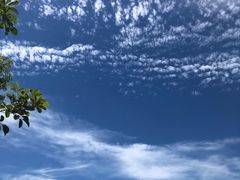 -广东惠东海龟国家级自然保护区