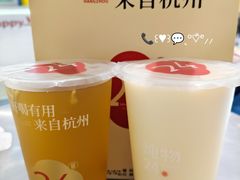 -炖物24章·顺时轻养茶(黄龙店)