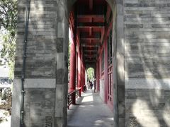 -莲池书院博物馆