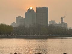 -莲花池公园
