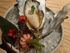 -Hatsune隐泉日式料理(三里屯太古里店)