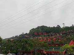 -枇杷园食为鲜火锅(南山店)
