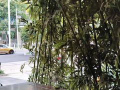 -茶叁酒肆·楚味江湖(菱角湖店)