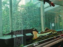 -衡山汇·高级粤菜(霄云路店)
