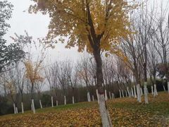 -洨河生态公园