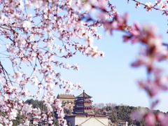 -颐和园