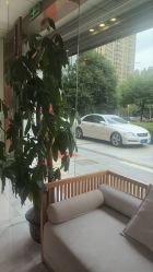 -漂亮妈妈通乳·塑形·产后恢复(奥体店)