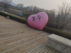 -羊亭河湿地公园