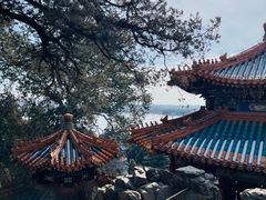 -颐和园