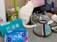 -安安宠医·臻爱宠物医院·宠保定点(营门口路分院)