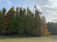 -上海海湾国家森林公园