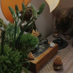 点击看大图 -iSpa