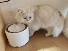 -猫腻·猫咖·撸猫馆(星光大道店)