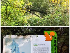 -西湖风景区-江洋畈生态公园