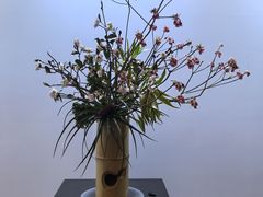 -云溪植物园