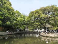 -西园寺素食(西园弄戒幢律寺店)