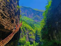 -鹿院坪生态旅游景区