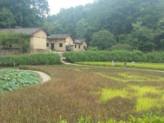 -韶山毛泽东同志故居