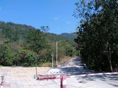 -海南霸王岭国家森林公园