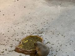 -苏州海洋馆