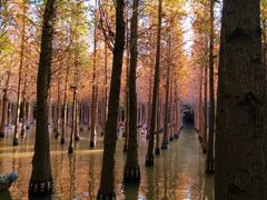 -捞渔河湿地公园