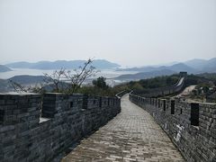 -黄贤森林公园