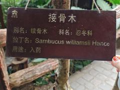 -海南槟榔谷黎苗文化旅游区