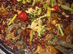 -老板恋上鱼(恒隆广场店)