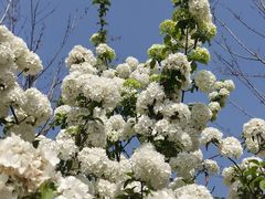 -大龙山(地铁站)