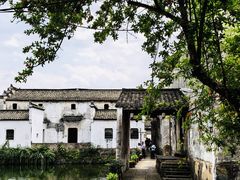 -东梓关景区村庄