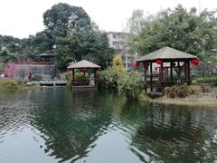 -成飞公园