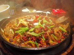 -老板恋上鱼(高新万达店)