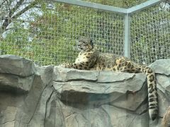-青藏高原野生动物园