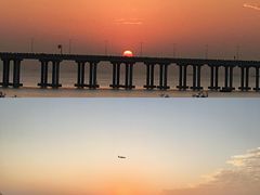 -宝安西湾红树林湿地公园