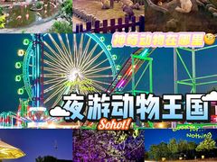 -大连森林动物园