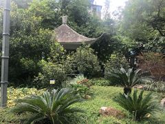 -晓港公园