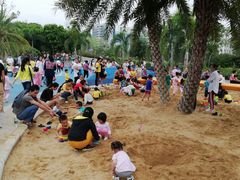 -宝安西湾红树林湿地公园