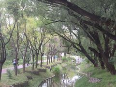 -北坞公园