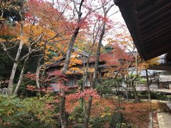 -常寂光寺