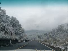 -武陵山森林公园