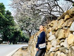 -广州市流溪河国家森林公园