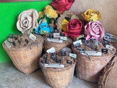 -大象粑粑造纸公园